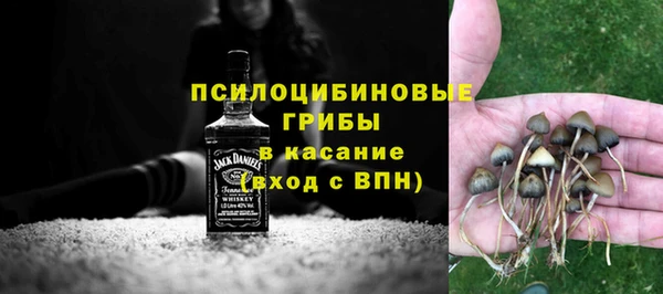 тгк Сатка