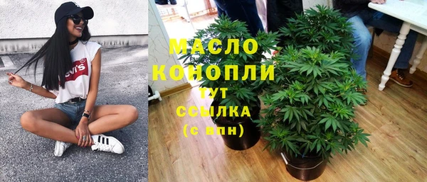тгк Сатка