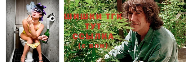 тгк Сатка