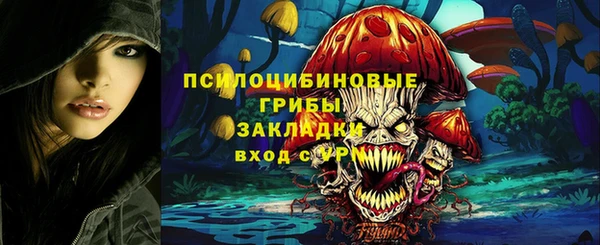 ECSTASY Саяногорск
