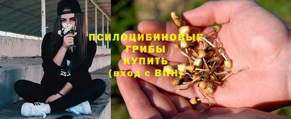 ECSTASY Саяногорск