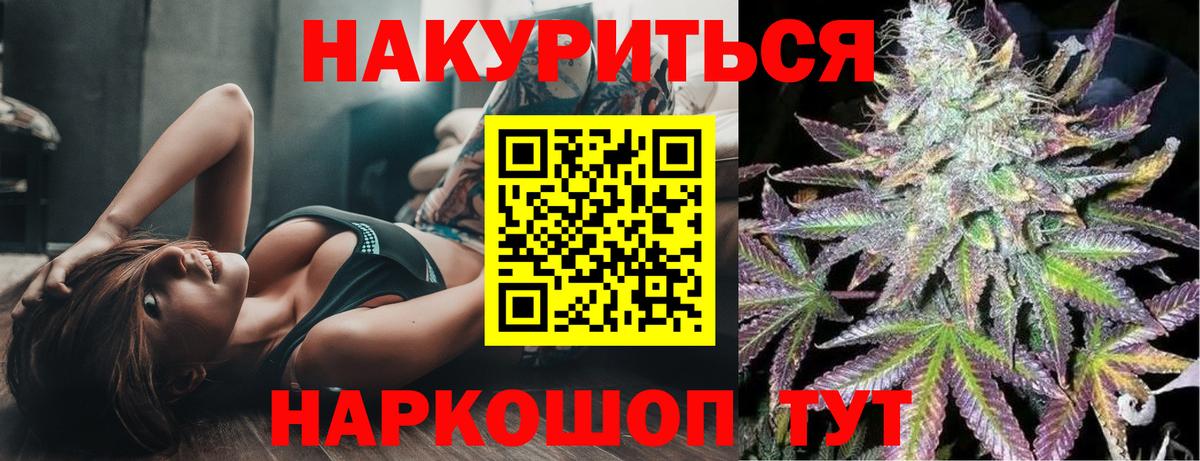 Канабис ГИДРОПОН Сокол